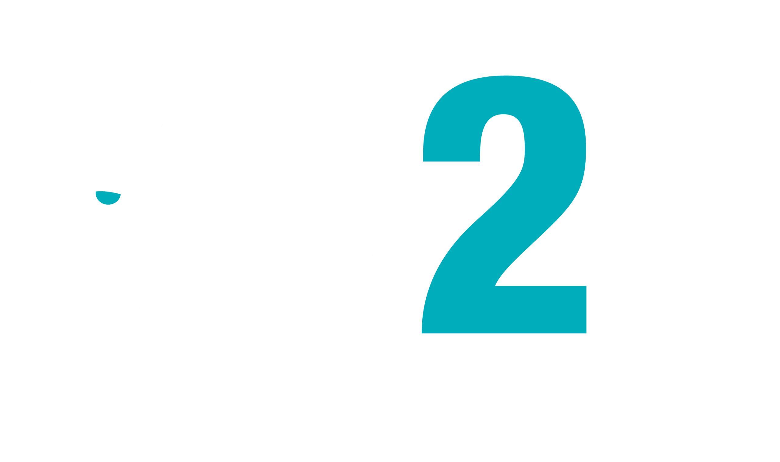 logo-R2Jvect_blanc
